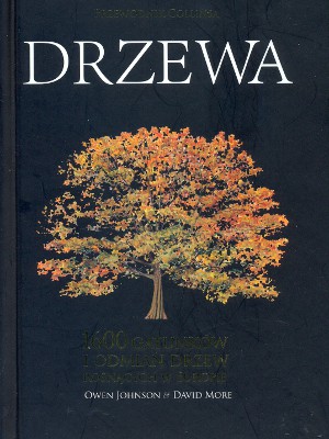 Drzewa